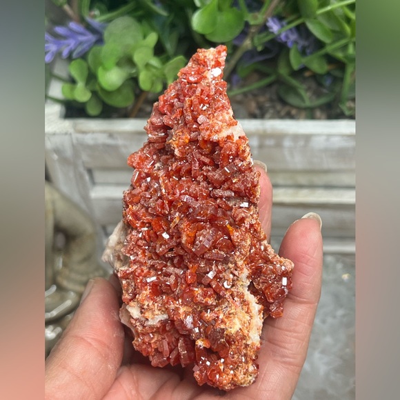 Stunning Vanadanite Specimen- Morocco 🇲🇦 - Picture 8 of 9